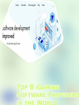 Igaming business software houses
