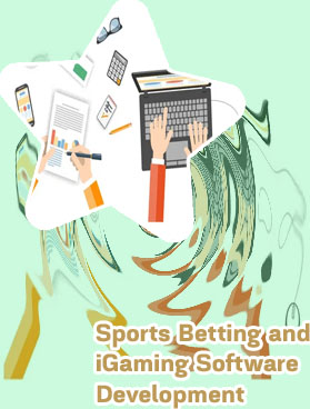 Igaming business software website