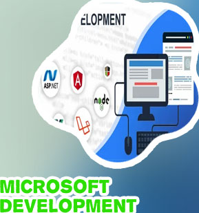 Asp.net development service company
