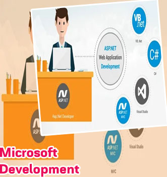 Asp.net development solutions