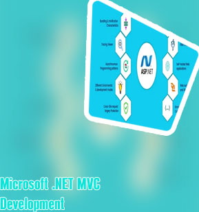 Asp.net mvc development company