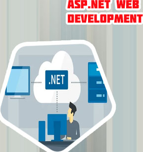 Asp.net web development services