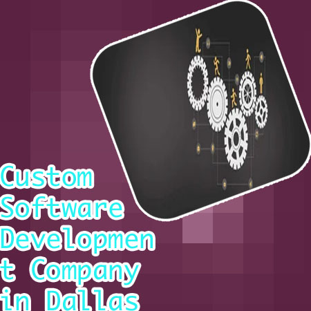 Custom software developers