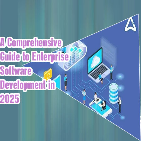 Enterprise software developers
